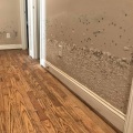 Carpet Cleaning and Water Damage Restoration Services in San Antonio, Texas