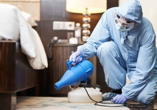Carpet Cleaning Solutions: Professional Cleaning Services in San Antonio